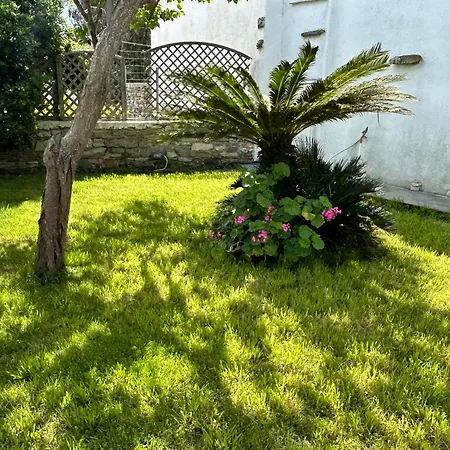 Paradisehouse Vakantiehuis