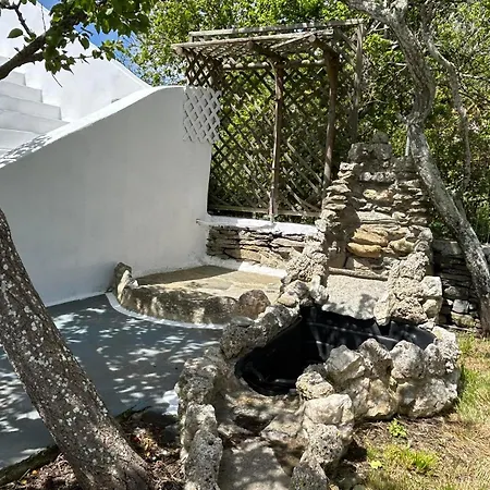 Paradisehouse Vakantiehuis